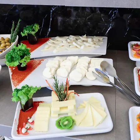 Hotel Silver Bolu
